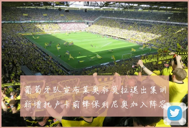 葡萄牙队宣布莱奥和莫拉退出集训新增托卢卡前锋保利尼奥加入阵容