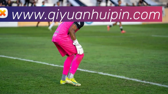 线上买球平台生态图